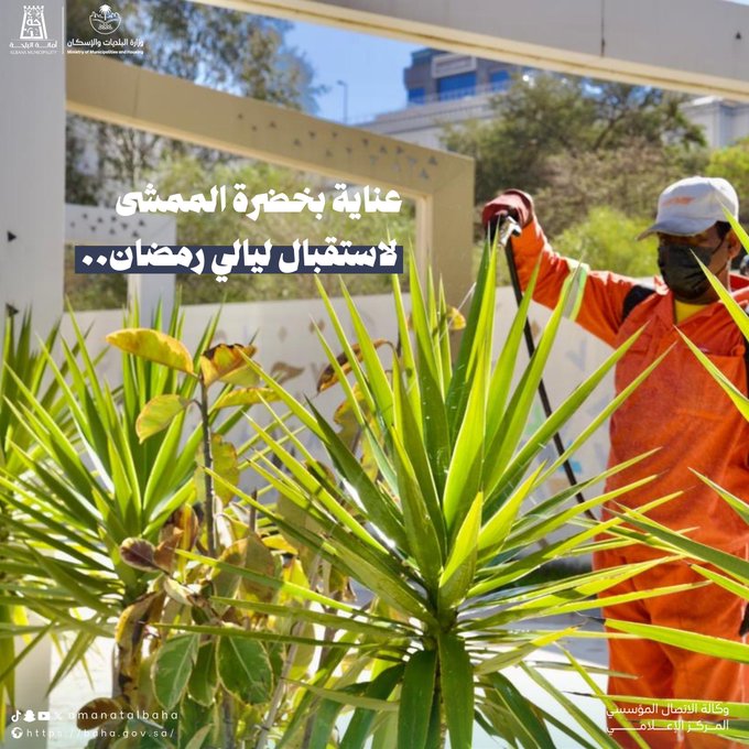 استعدادٌ مبكر وتجهيزٌ متكامل 🌿